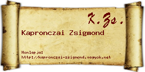 Kapronczai Zsigmond névjegykártya